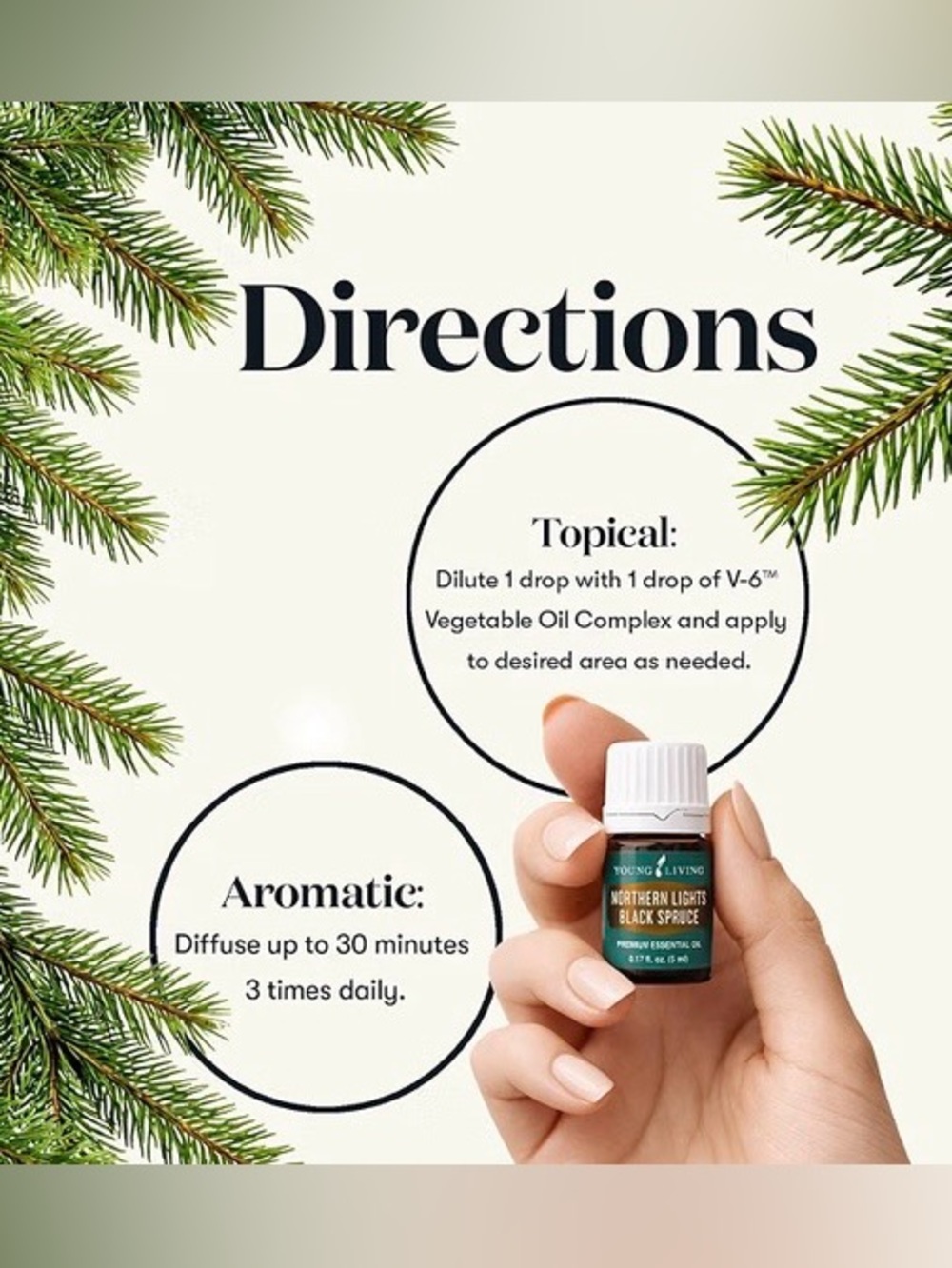 Young Living Northern Lights Black Spruce Essential Oil 5 ml Bottle Brand New - Picture 6 of 11
